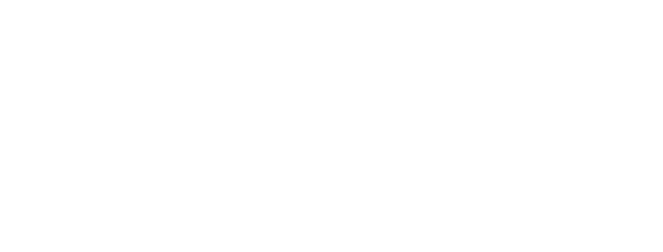 RentoGo Autovuokraamo